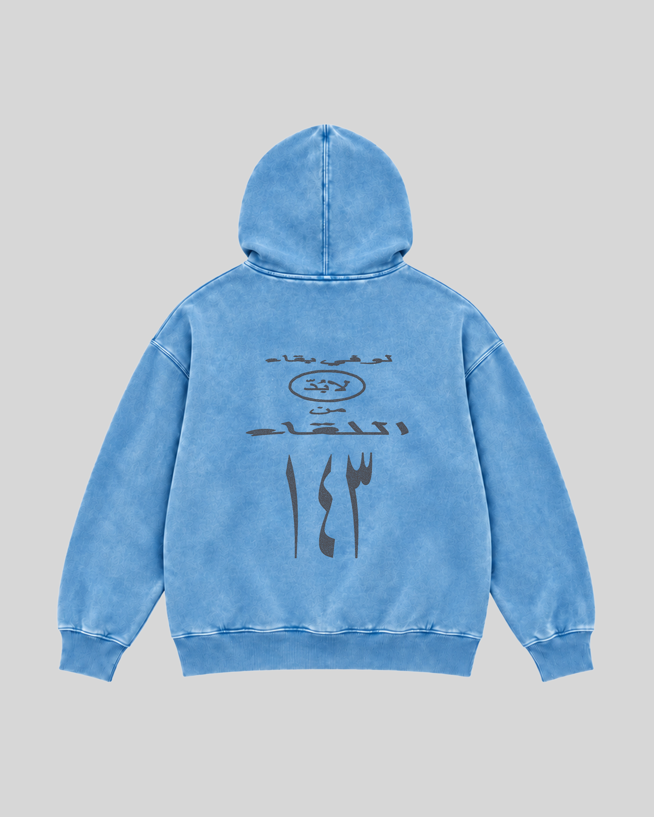 143 Washed Hoodie — baby blue — back view