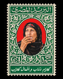 ذئاب وكلاب Framed Poster