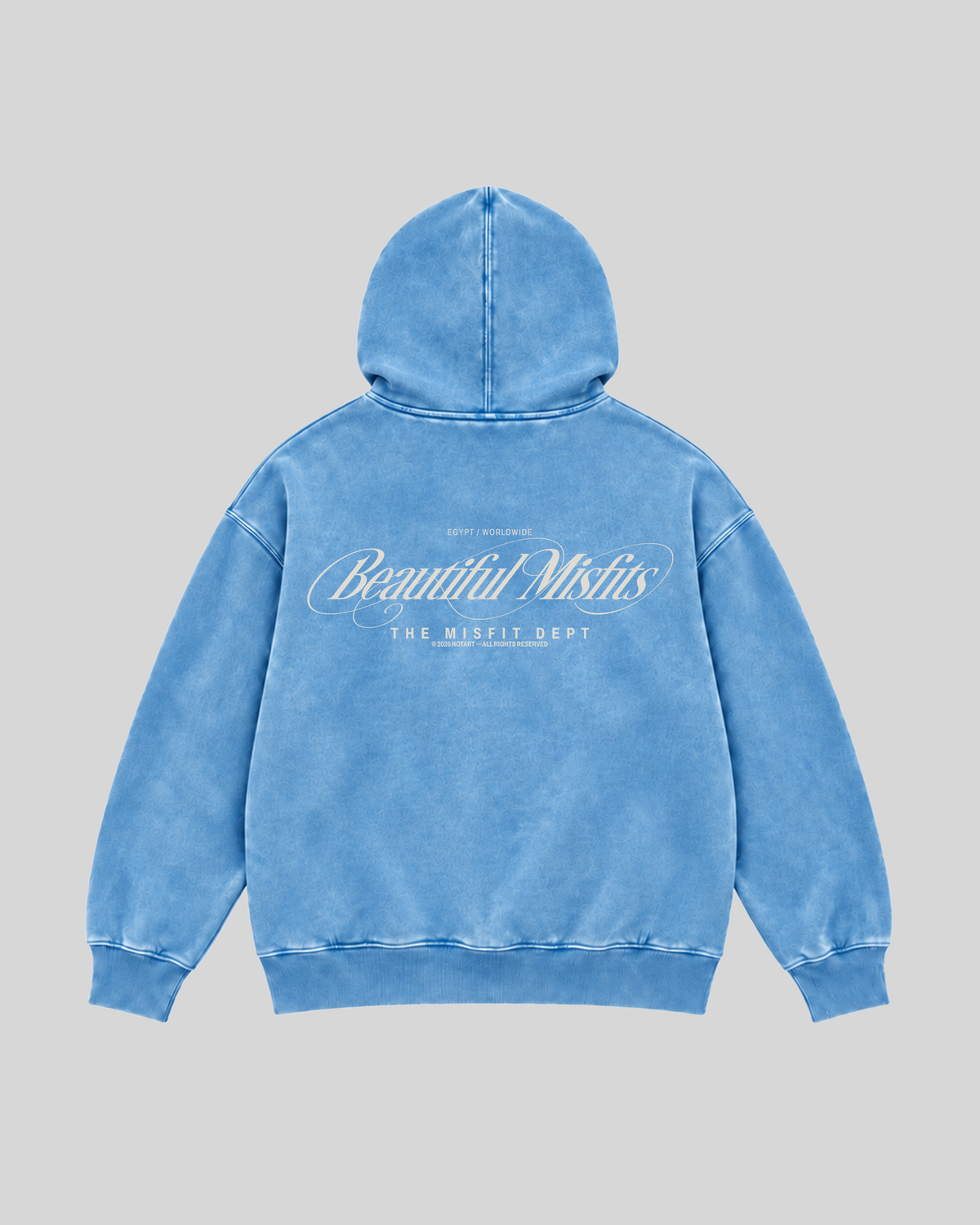 Beautiful Misfits Washed Hoodie — baby blue — back view