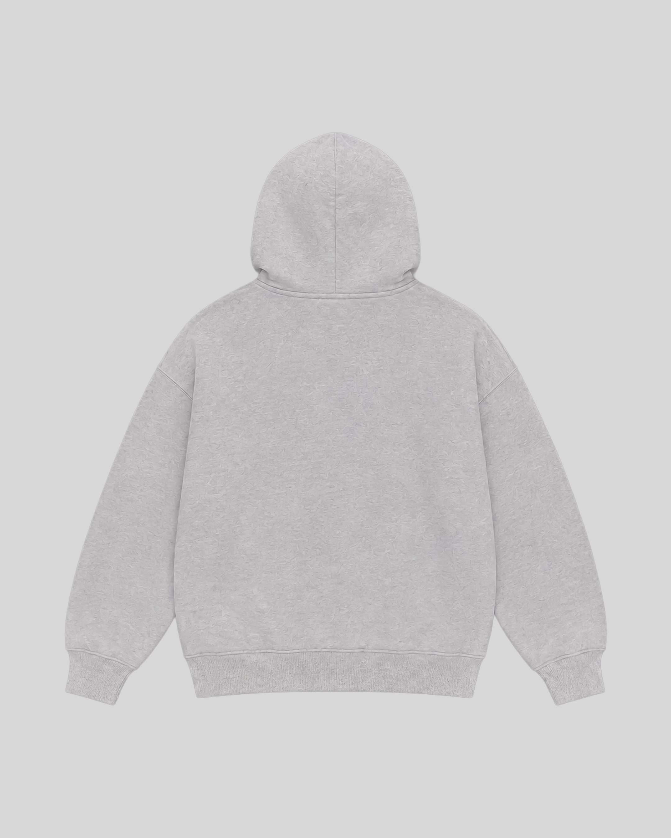 Egyptian Division Hoodie in grey — back view