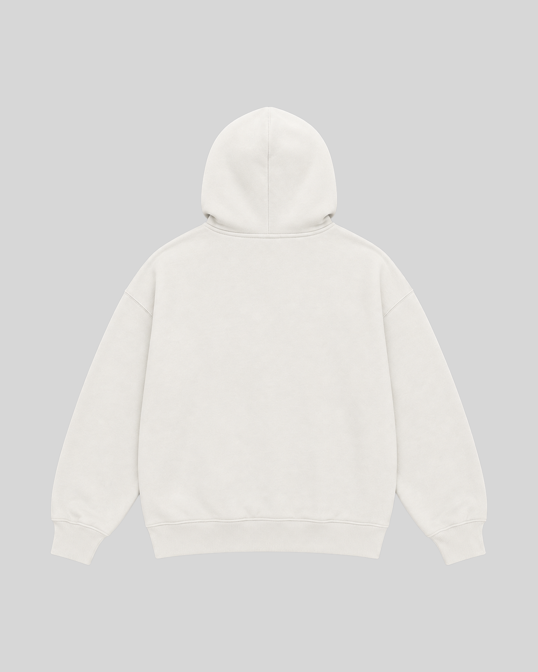 Egyptian Division Hoodie in white — back view