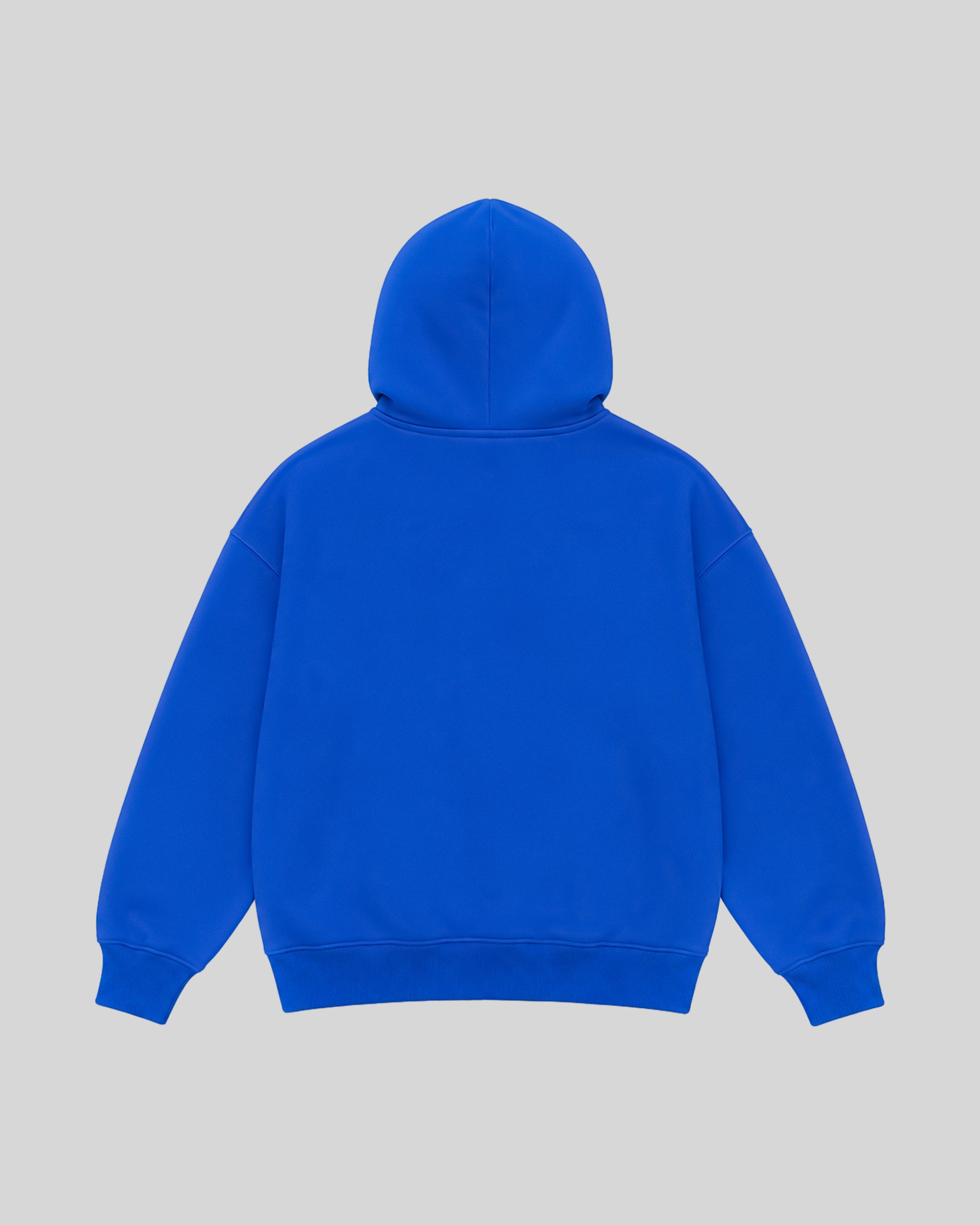 NOTART Basic Hoodie — blue back